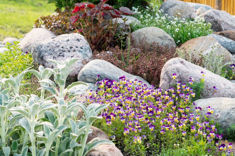 Rock and Plant Combinations